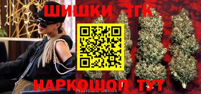 мдпв Ефремов