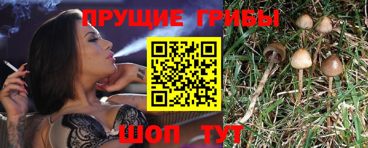 Галлюциногенные грибы мицелий  Псилоцибиновые грибы мицелий  Дальнереченск 