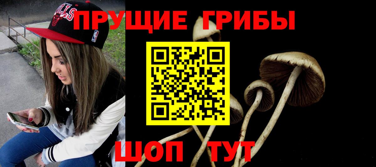 Псилоцибиновые грибы Psilocybine cubensis  Галлюциногенные грибы мухоморы  Дальнереченск  Вход с VPN 