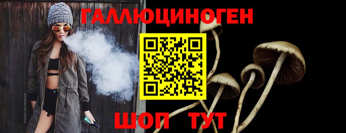 Псилоцибиновые грибы Magic Shrooms Дальнереченск